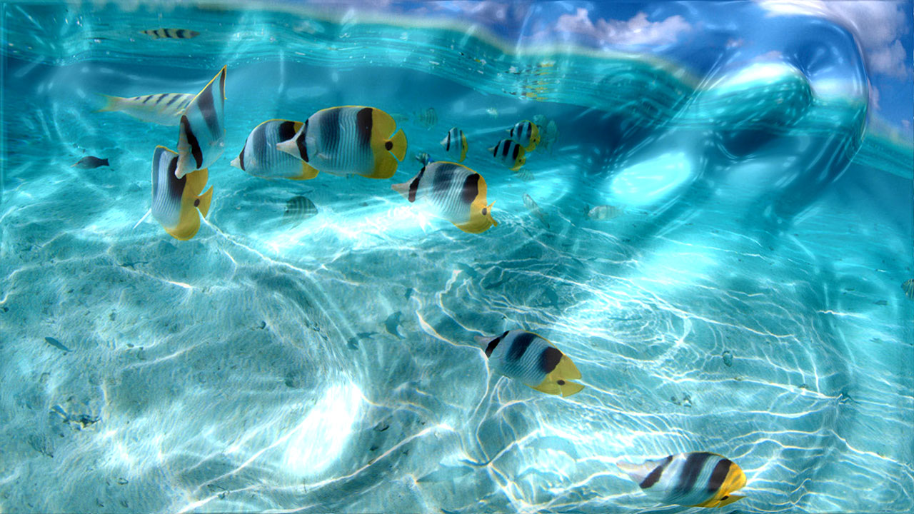 Click to view Watery Desktop 3D Screensaver 3.9993 screenshot