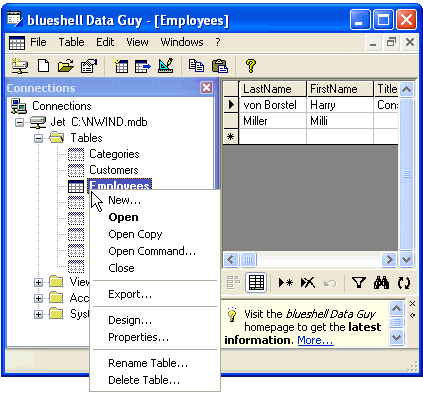 Click to view blueshell Data Guy 2.03.0004 screenshot