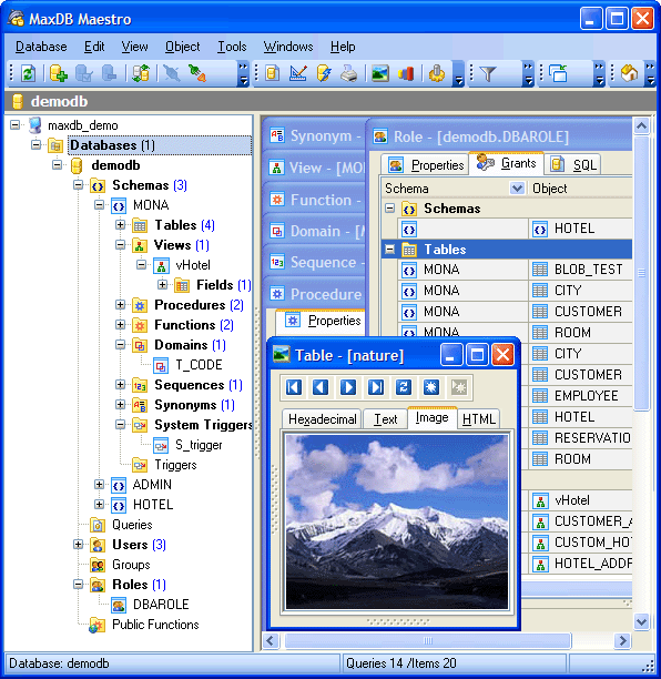 Click to view MaxDB Maestro 10.2 screenshot