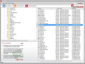 Click to view SensiGuard 3.4 screenshot