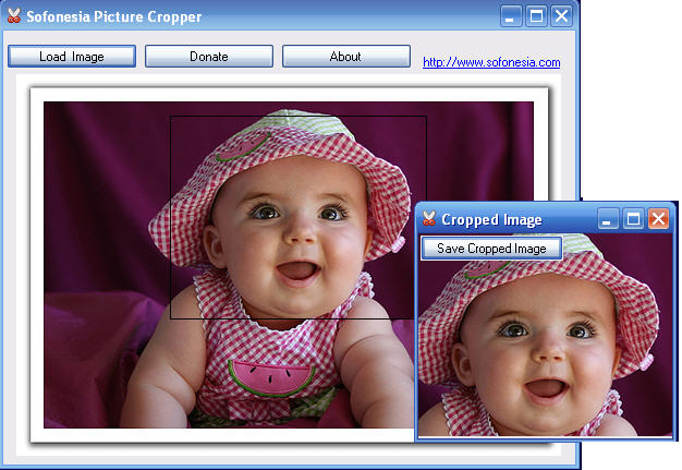 Click to view Picture Cropper 1.0 screenshot