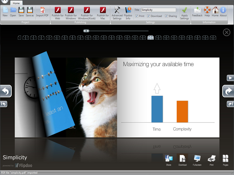 Click to view Flipdoo Publisher | Page Flip Converting 1.4 screenshot