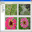 ImageCD Catalog icon