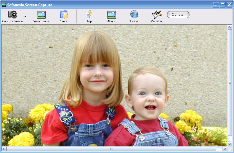 Click to view Sofonesia Screen Capture 1.0 screenshot