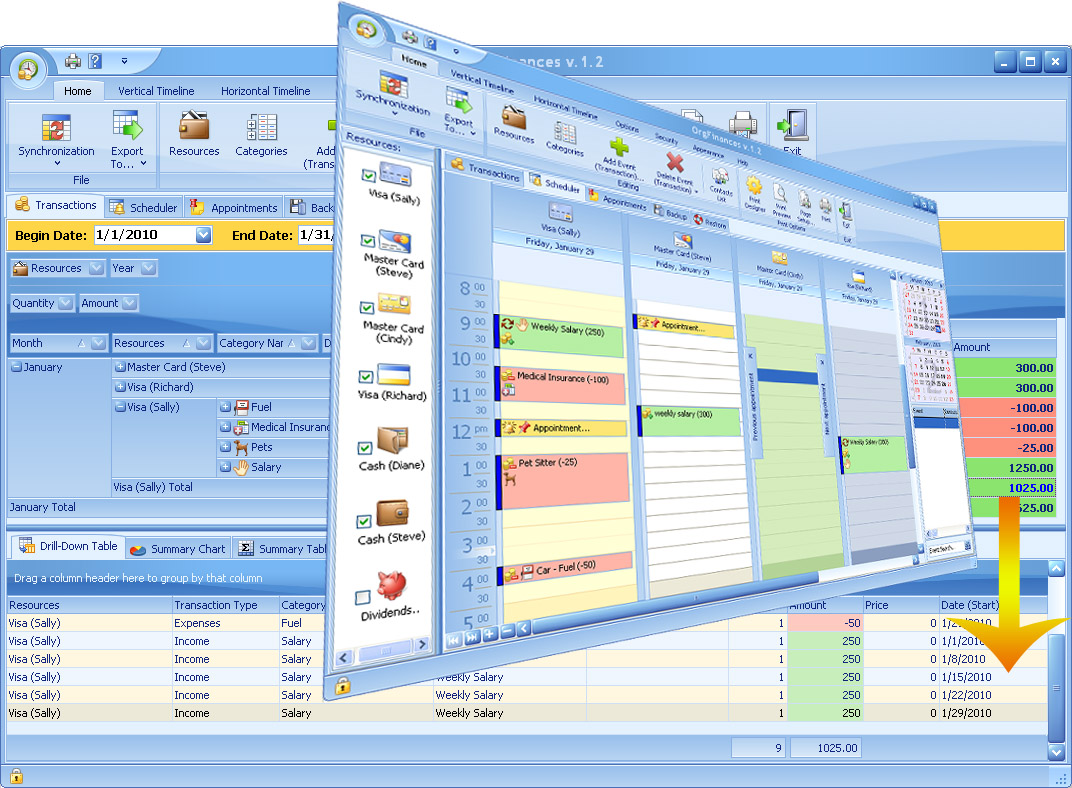 Click to view OrgFinances for Workgroup 2.5 screenshot
