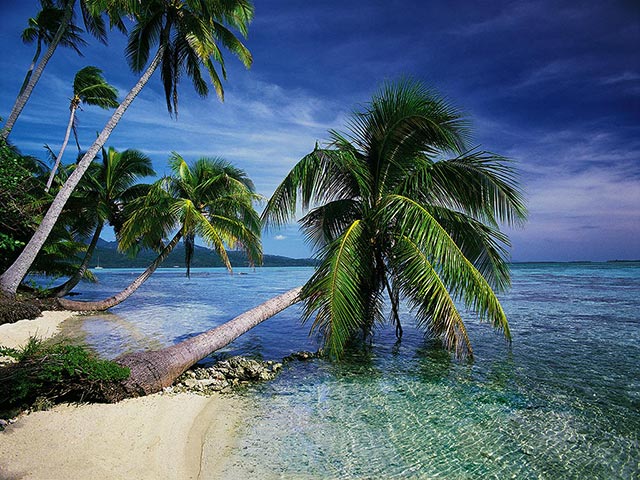 Click to view Beautiful Tropical Islands vol.1 1.0.4 screenshot