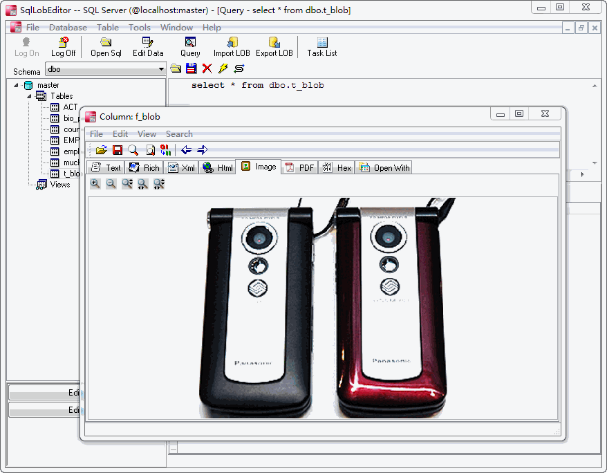 Click to view SqlLobEditor 2.2 screenshot