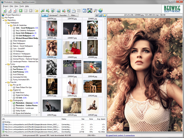 Click to view NeoDownloader 2.9.5 screenshot