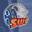 AVI to SWF Converter icon