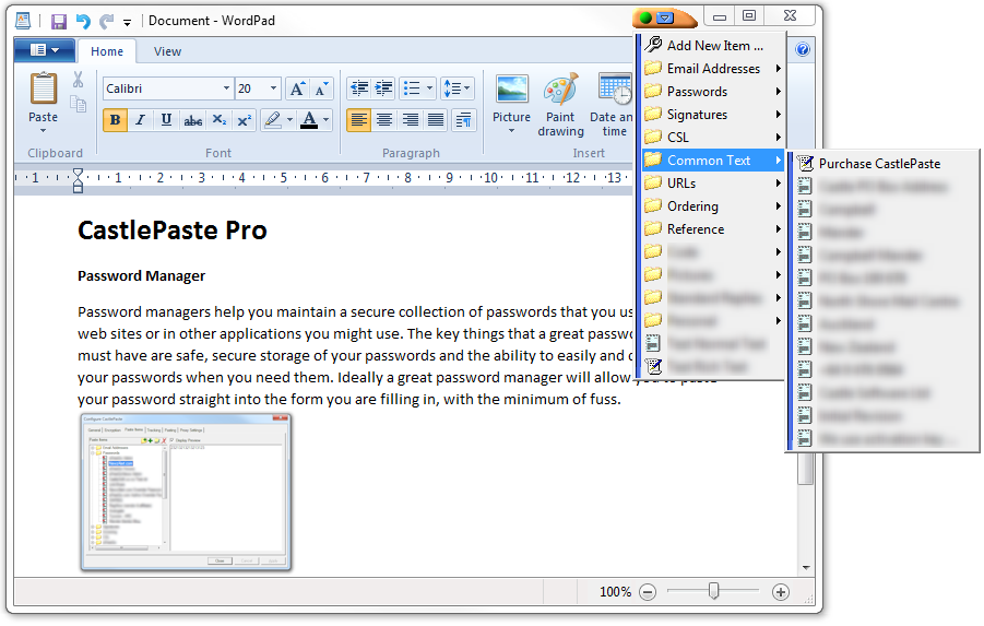 Click to view CastlePaste PRO 2.40.1 screenshot