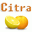 Citra Table icon
