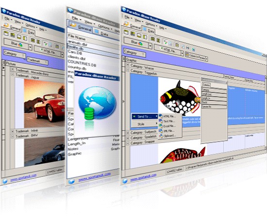 Click to view paradox dbase viewer 2.2.0 screenshot