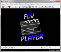 Click to view FLV Player 2011 1.1 screenshot
