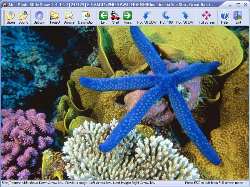 Click to view Able Photo Slide Show 2.9.6.8 screenshot