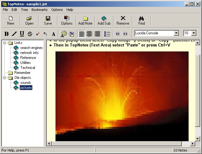 Click to view TopNotes 1.3.6.3 screenshot
